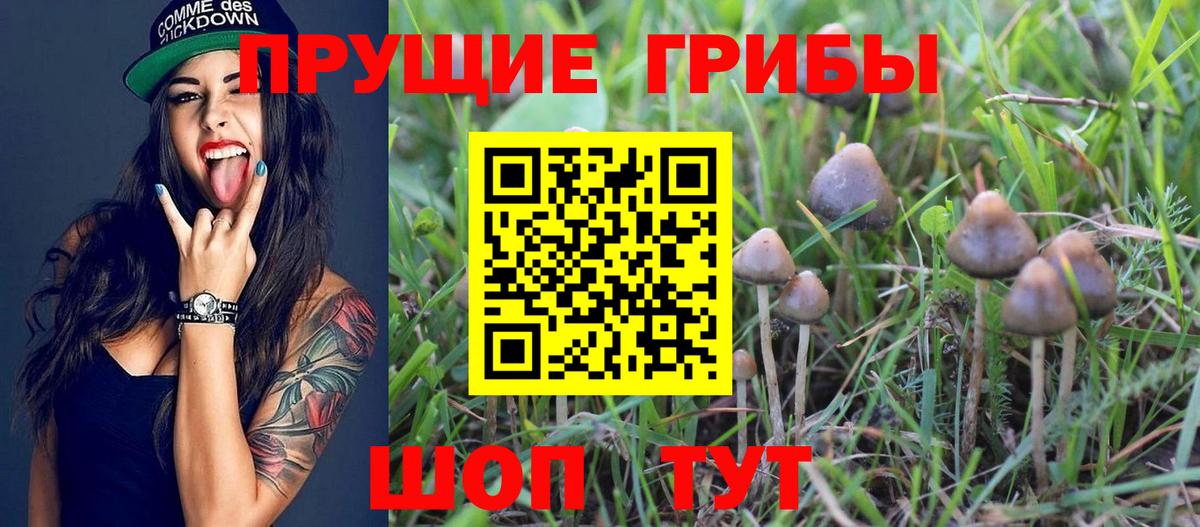 Псилоцибиновые грибы Psilocybe  Вход с VPN  Ишим 